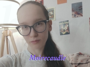 Moirecaudle