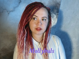 Mollybuls