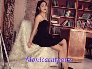 Monicacatpaws
