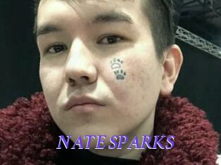 NATE_SPARKS