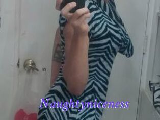 Naughtyniceness