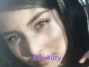 Nicekitty