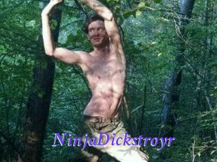 NinjaDickstroyr
