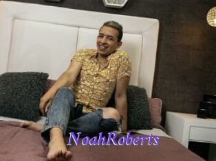 NoahRoberts