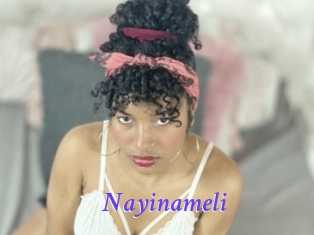 Nayinameli