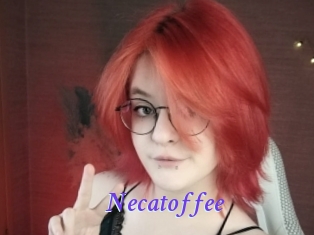 necatoffee Bdsm gratuit