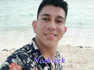 noah_cock Bdsm gratuit
