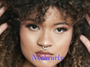 Noahcurly