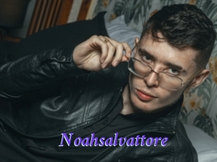Noahsalvattore