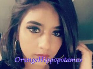 OrangeHippopotamus