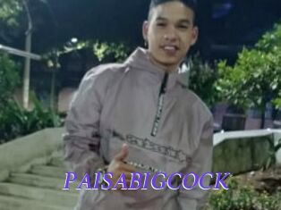 PAISABIGCOCK