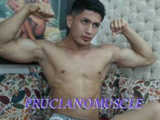 PRUCIANOMUSCLE
