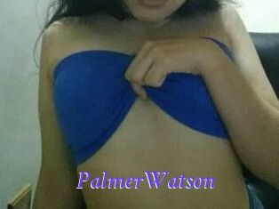 PalmerWatson