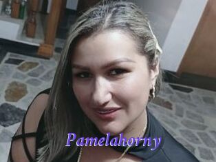 Pamelahorny