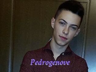 Pedrogenove
