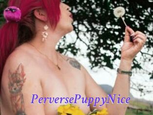 PerversePuppyNice