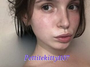 Pettitekitty1107