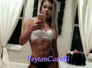 Peyton_Cavalli