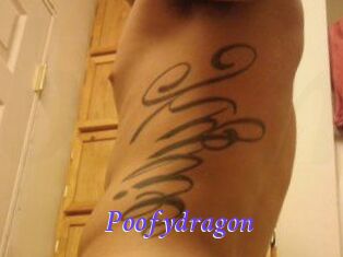 Poofydragon