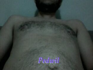 Pedwil
