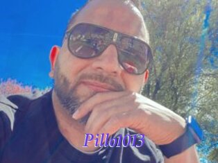 Pillo1013