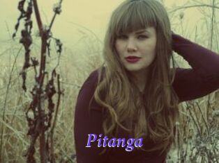Pitanga