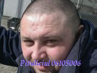 Pituliciul-06105006