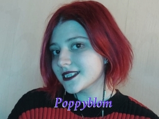 Poppyblom