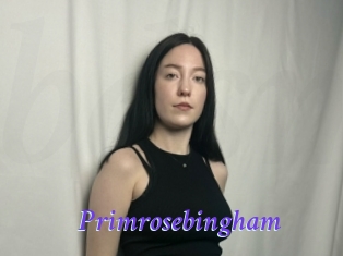 primrosebingham Bdsm gratuit