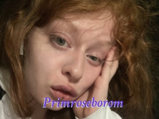 Primroseborom