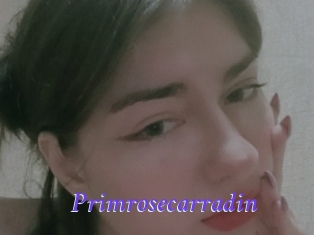 Primrosecarradin
