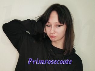 Primrosecoote