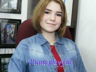 Pumaplayful