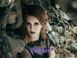 pupfox Bdsm gratuit