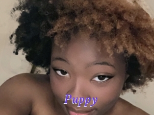 Puppy