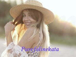 Purefelinekata