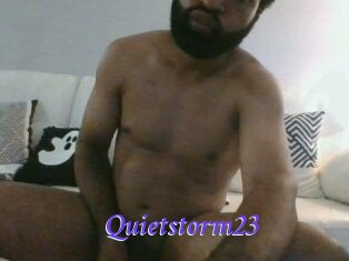 Quietstorm23