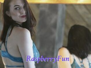 RaspberryFun