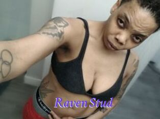 Raven_Stud