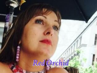 Red_Orchid