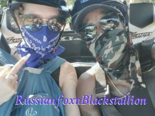 RussianfoxnBlackstallion