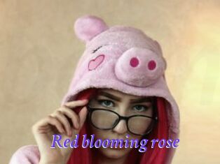red_blooming_rose Bdsm gratuit