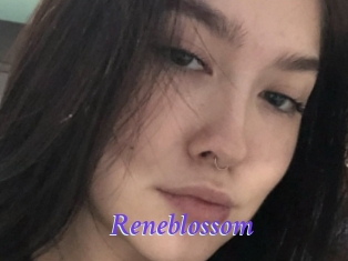 Reneblossom