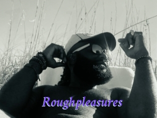 Roughpleasures