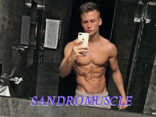 SANDRO_MUSCLE