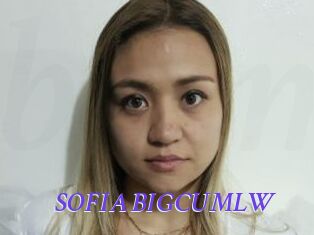 SOFIA_BIGCUMLW