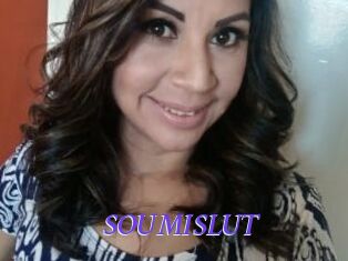 SOUMISLUT