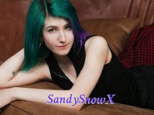 SandySnowX