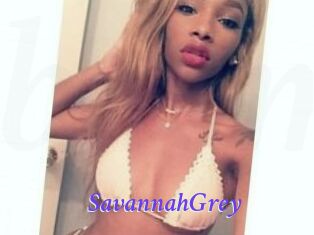 Savannah_Grey
