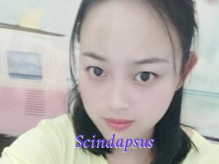 Scindapsus